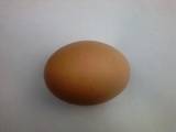 Продовольствие Яйца, цена 16 Грн., Фото