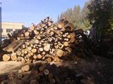 Дрова, брикети, гранули Дрова колоті, ціна 600 Грн., Фото