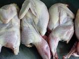 Продовольство М'ясо птиці, ціна 150 Грн./кг., Фото