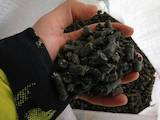 Дрова, брикети, гранули Гранули, ціна 1500 Грн., Фото