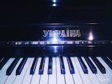 Музика,  Музичні інструменти Клавішні, ціна 2200 Грн., Фото