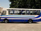 Аренда транспорта Автобусы, цена 180 Грн., Фото