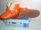 Детская одежда, обувь Сапоги, цена 250 Грн., Фото