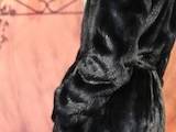 Женская одежда Шубы, цена 28000 Грн., Фото