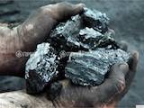 Дрова, брикеты, гранулы Уголь, цена 100 Грн., Фото