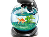 Рыбки, аквариумы Аквариумы и оборудование, цена 1480 Грн., Фото