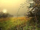 Дачи и огороды Черкасская область, цена 15000 Грн., Фото