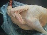 Продовольство М'ясо птиці, ціна 17 Грн./кг., Фото