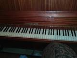 Музика,  Музичні інструменти Клавішні, ціна 22000 Грн., Фото