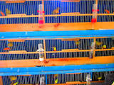 Папуги й птахи Канарки, ціна 500 Грн., Фото