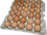 Продовольство Яйця, ціна 14 Грн., Фото