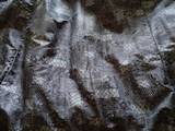 Женская одежда Шубы, цена 5300 Грн., Фото