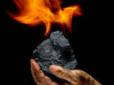 Дрова, брикеты, гранулы Уголь, цена 3800 Грн., Фото