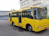 Автобусы, цена 580000 Грн., Фото
