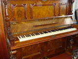 Музика,  Музичні інструменти Клавішні, ціна 4000 Грн., Фото