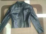 Женская одежда Куртки, цена 540 Грн., Фото