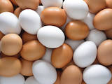 Продовольство Яйця, ціна 4 Грн., Фото