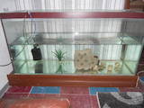 Рыбки, аквариумы Аквариумы и оборудование, цена 2000 Грн., Фото