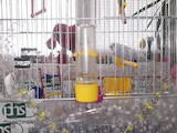 Попугаи и птицы Клетки  и аксессуары, цена 500 Грн., Фото