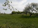 Дачи и огороды Киевская область, цена 229000 Грн., Фото