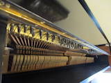 Музика,  Музичні інструменти Клавішні, ціна 3500 Грн., Фото