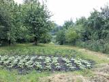 Дачи и огороды Хмельницкая область, цена 229500 Грн., Фото