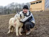 Собаки, щенята Польська підхаланська вівчарка, ціна 3700 Грн., Фото