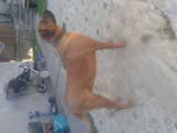 Собаки, щенята Родезійського ріджбек, ціна 12 Грн., Фото