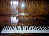 Музика,  Музичні інструменти Клавішні, ціна 6450 Грн., Фото