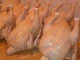 Продовольство М'ясо птиці, ціна 45 Грн./кг., Фото