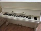 Музика,  Музичні інструменти Клавішні, ціна 28000 Грн., Фото