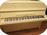 Музика,  Музичні інструменти Клавішні, ціна 37777 Грн., Фото