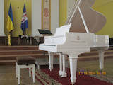 Музика,  Музичні інструменти Клавішні, ціна 39777 Грн., Фото