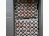 Продовольствие Яйца, цена 7.60 Грн., Фото