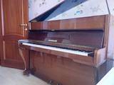 Музыка,  Музыкальные инструменты Клавишные, цена 10500 Грн., Фото
