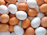 Продовольство Яйця, ціна 9.50 Грн., Фото