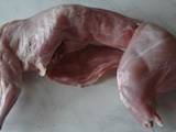 Продовольство Свіже м'ясо, ціна 100 Грн./кг., Фото