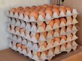 Продовольство Яйця, ціна 10 Грн., Фото