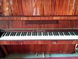 Музика,  Музичні інструменти Клавішні, ціна 7000 Грн., Фото