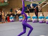 Спорт, активный отдых Художественная гимнастика, цена 2100 Грн., Фото