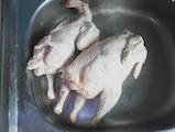 Продовольство М'ясо птиці, ціна 55 Грн./кг., Фото