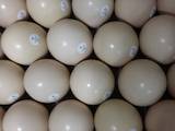Продовольствие Яйца, цена 150 Грн., Фото