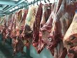 Продовольствие Свежее мясо, цена 2.45 Грн./кг., Фото