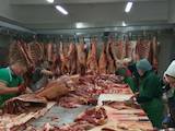 Продовольство Свіже м'ясо, ціна 2.45 Грн./кг., Фото