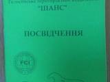 Собаки, щенки Вельшспрингер спаниель, цена 100 Грн., Фото