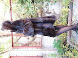 Жіночий одяг Шуби, ціна 32500 Грн., Фото
