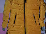 Женская одежда Куртки, цена 750 Грн., Фото