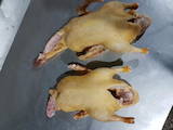 Продовольство М'ясо птиці, ціна 50 Грн./кг., Фото
