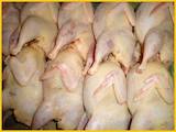 Продовольствие Мясо птицы, цена 160 Грн./кг., Фото