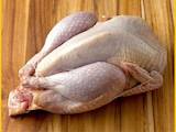 Продовольствие Мясо птицы, цена 160 Грн./кг., Фото